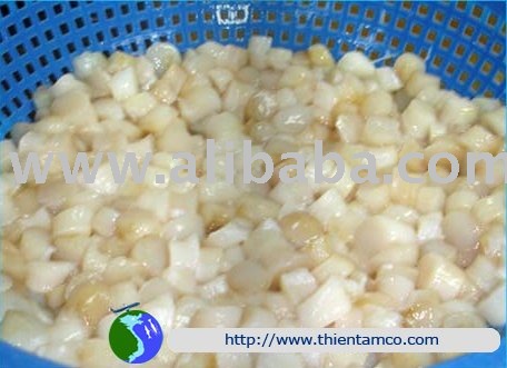 SCALLOP