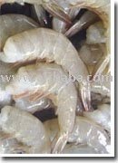 RAW WHITE HRIMP