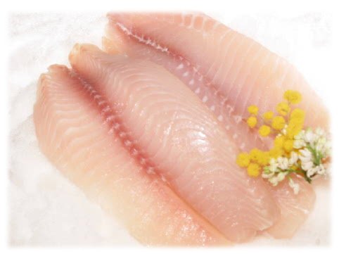 Tilapia
