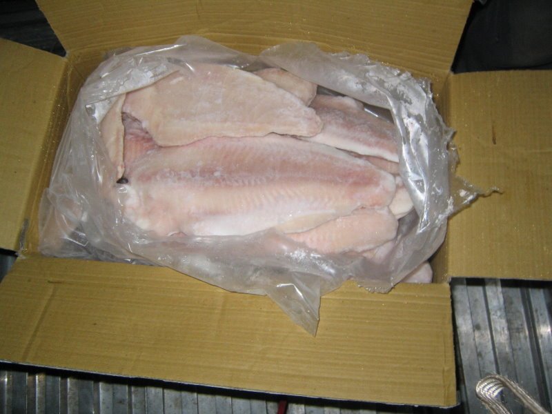 pangasius fillets