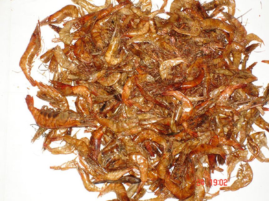 Sun Dried Shrimp from Bangladesh