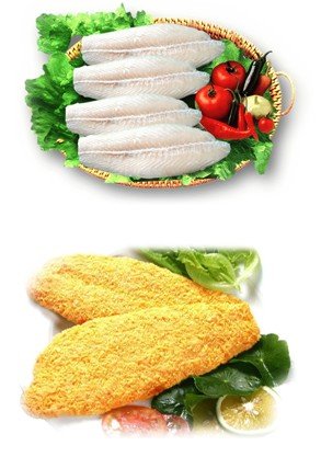 Frozen Pangasius Fish