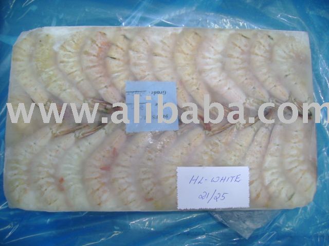 White shrimp (P.indicus)