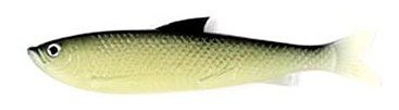 Herring  Glow 