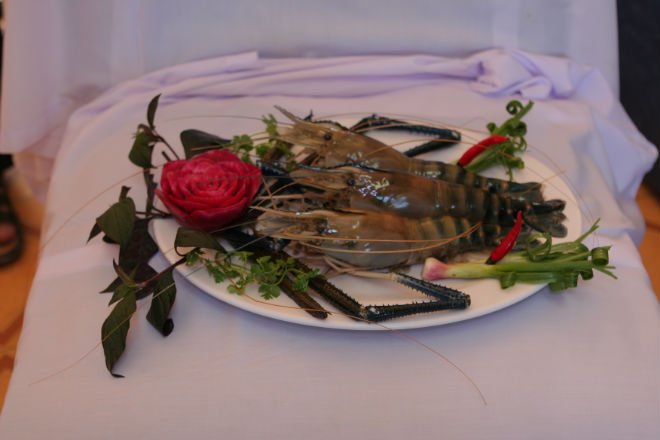 Fresh Shrimp