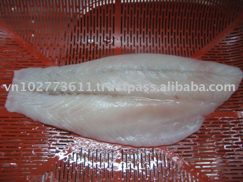 Frozen Barramundi Fish