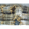 Razor Clam