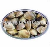 Living Clam (Seafood)