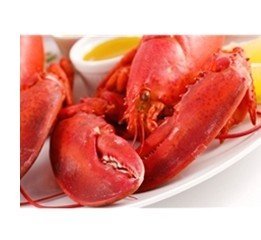Maine Lobster and Swordfish Dinner for 4