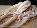 Squid Tentacles