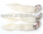  Raw   Squid  whole