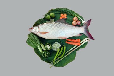 Frozen Fresh Water Fish Product