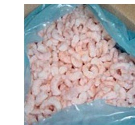 Maine Shrimp Raw