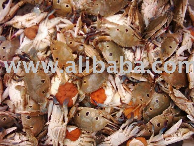 Three Spotted Crabs