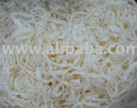 dried roasted seasoned octopus Squid slice filament
