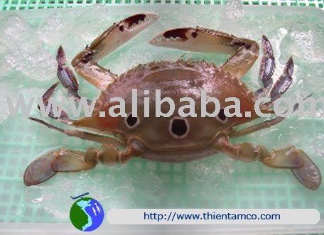 CRAB