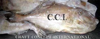  Leather  Jacket Fish