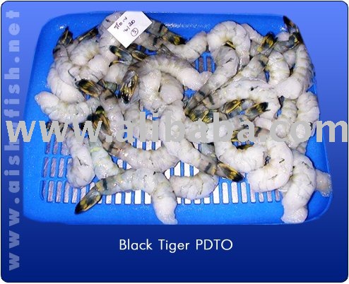 Raw PDTO black tiger shrimp