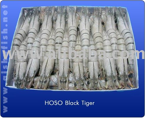 black tiger  prawn   shrimp 