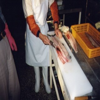 Fresh Fish Process3