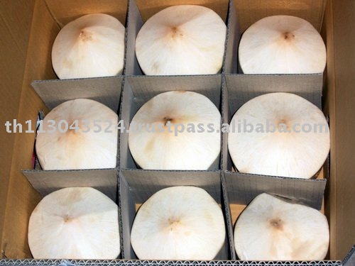  Fresh   Young  Coconut