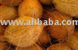 Coconut
