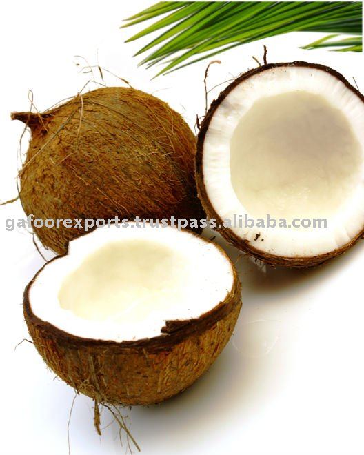 FRESH COCONUT