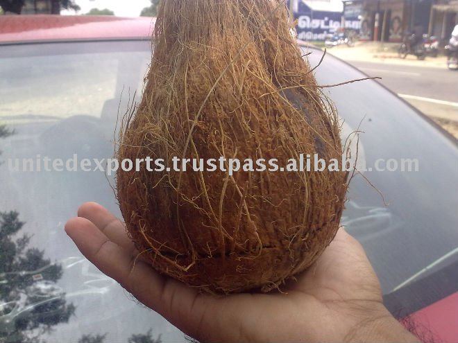 Fresh Mature Coconuts
