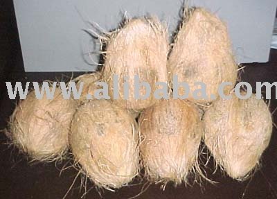 Fresh Coconuts