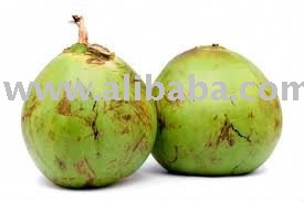 Wholesale Coconuts