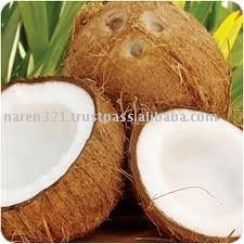 coconut