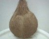 coconuts