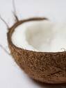  Fresh  Coconut For  Sale 