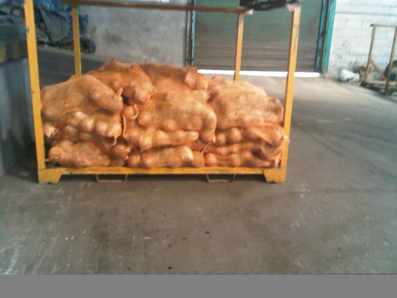 coconut fruits