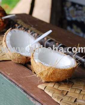 Fresh and Dried Coconut , Coconut flour and Starch for sa,t,