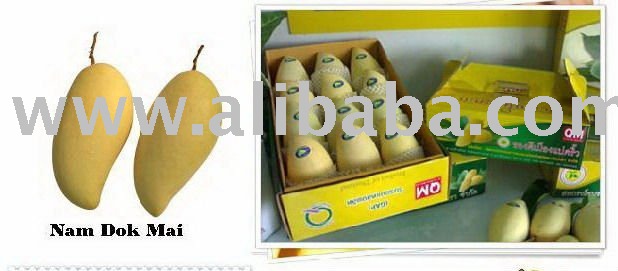 Fresh Mangoes