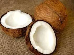 coconuts