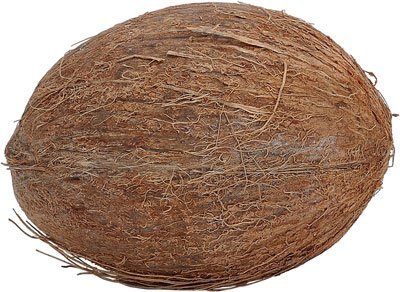coconut