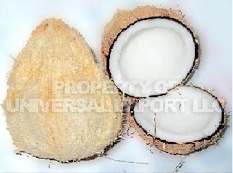 Fresh Dehusk  Coconut 