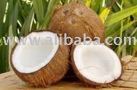 Young Coconut