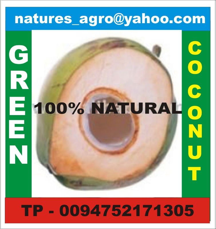 FRESH GREEN  COCONUT with Tast Water from Sri Lanka