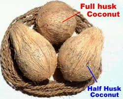 Coconuts