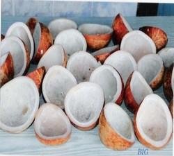 FRESH  AND  DRY   COPRA  COCONUT