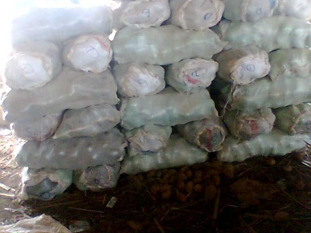 Brown, Edible, SunDry Coconut