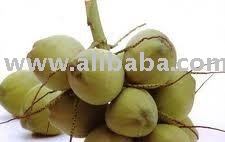 Green Coconuts