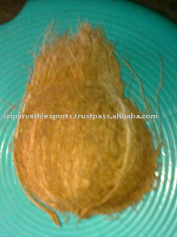 Matured  coconut s