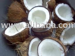 coconut shell coconut copra