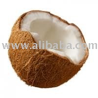 Dry  Coconut   Pulp 