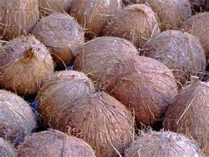 FRESH COCONUT FOR SALE(%100 TOP QUALITY),LIMES,CAVENDISH BANANA,NAVEL & VALENCIA ORANGES,APPLES,