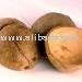 half coconut shell